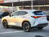 Lexus NX series, 2022-6