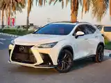 Lexus NX series, 2022-5