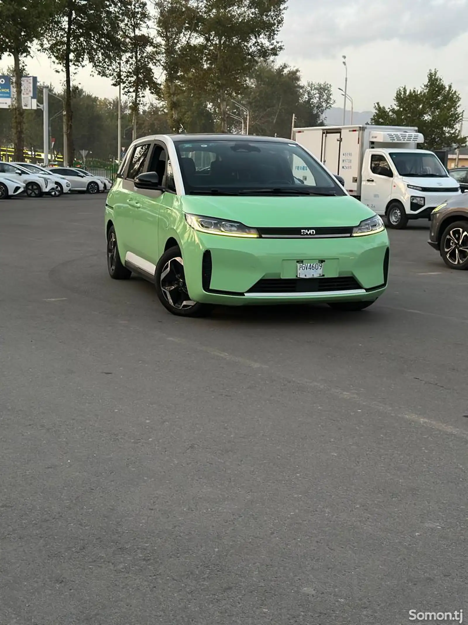 BYD Другие модели, 2021-7