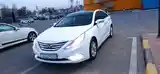 Hyundai Sonata, 2010-3