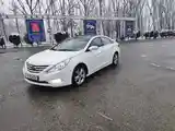 Hyundai Sonata, 2010-3