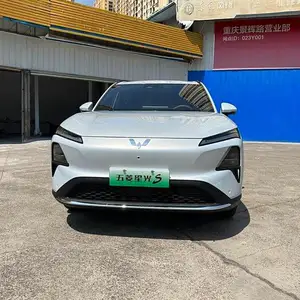 Wuling Starlight, 2024