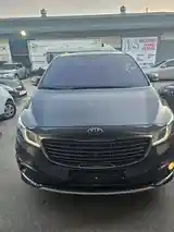 Kia Carnival, 2015-3