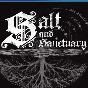 Игра Salt and sancruary для PS-4 / 5.05 / 6.72 / 7.02 / 7.55 / 9.00 /