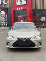 Lexus ES series, 2019-2