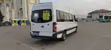 Микроавтобус Mercedes-benz sprinter, 2008-10