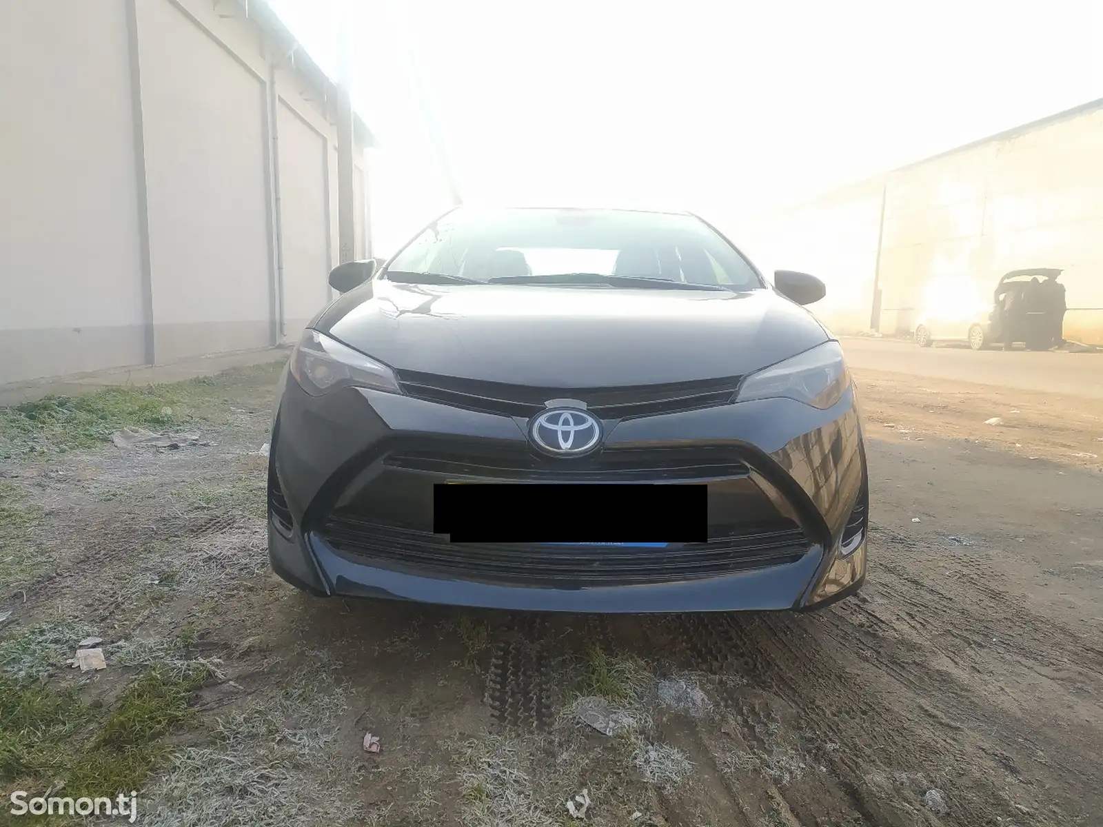 Toyota Corolla, 2019-1