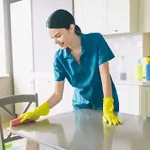 Услуги уборки и чистки квартир
