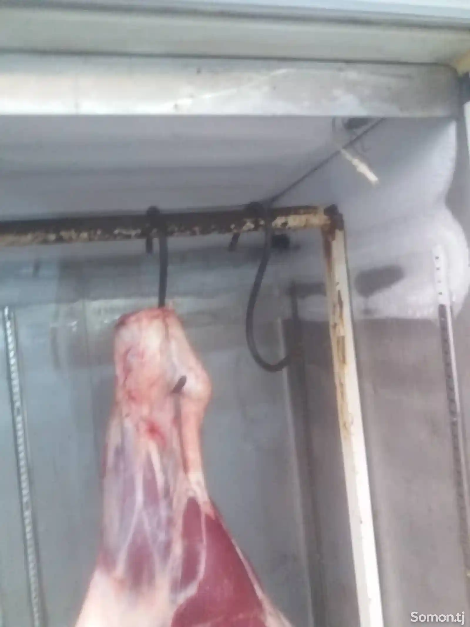 Холодильник для мяса-2