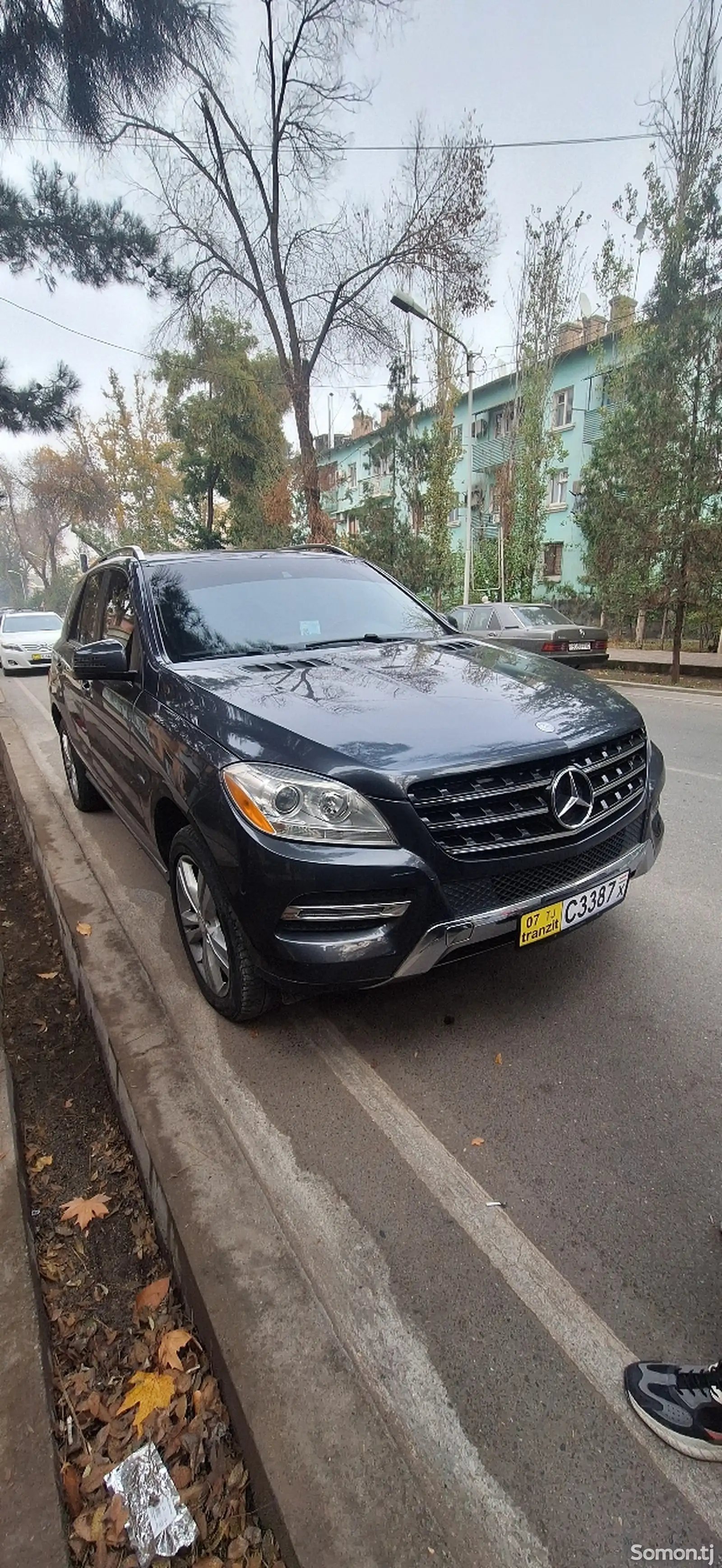 Mercedes-Benz ML class, 2012-1