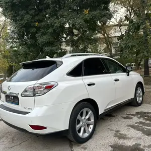 Lexus RX series, 2010