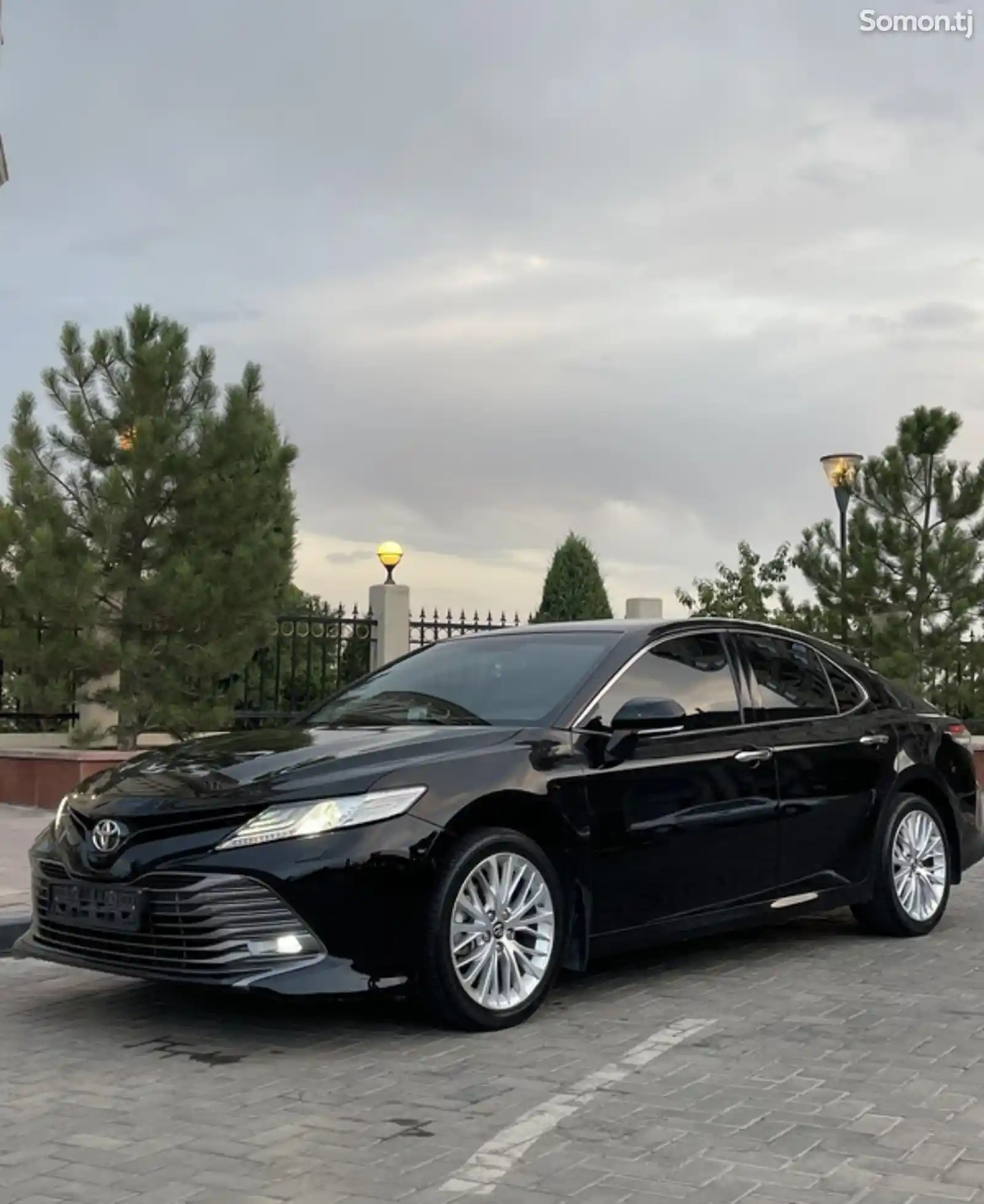 Toyota Camry, 2019-1