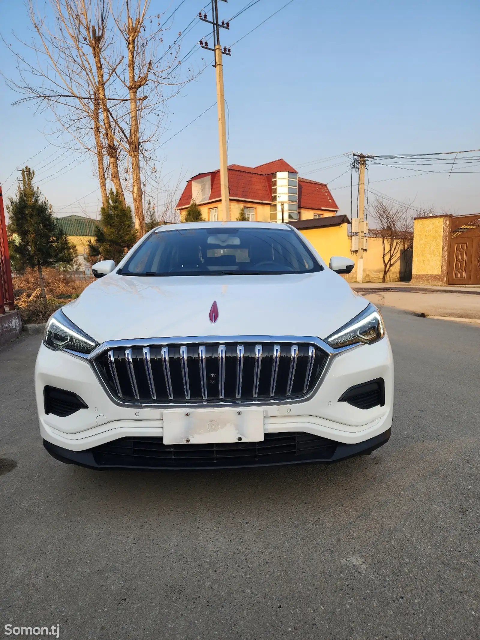 Hongqi E-HS3, 2020-1