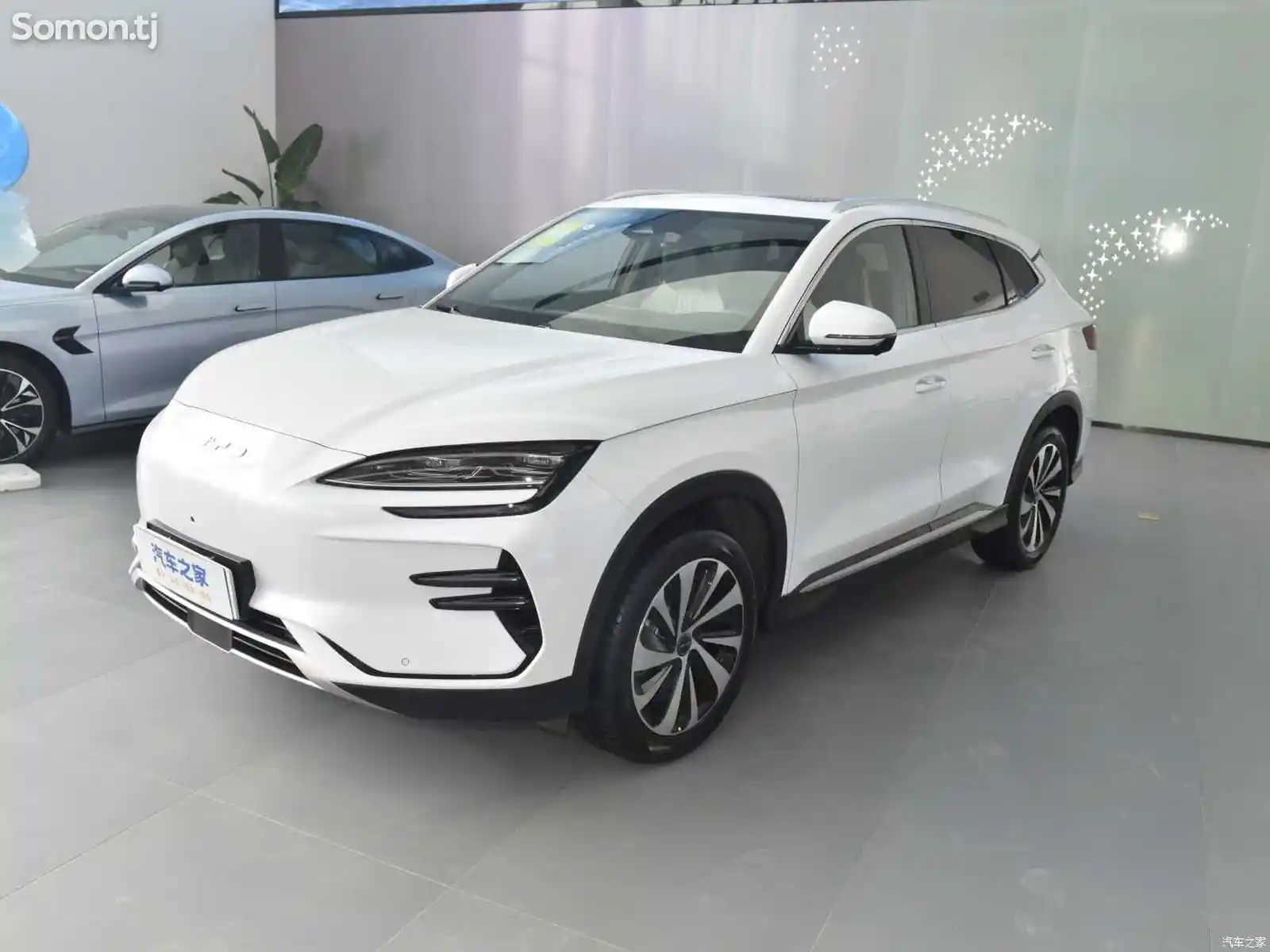 BYD Song Plus Flagship, 2023-3