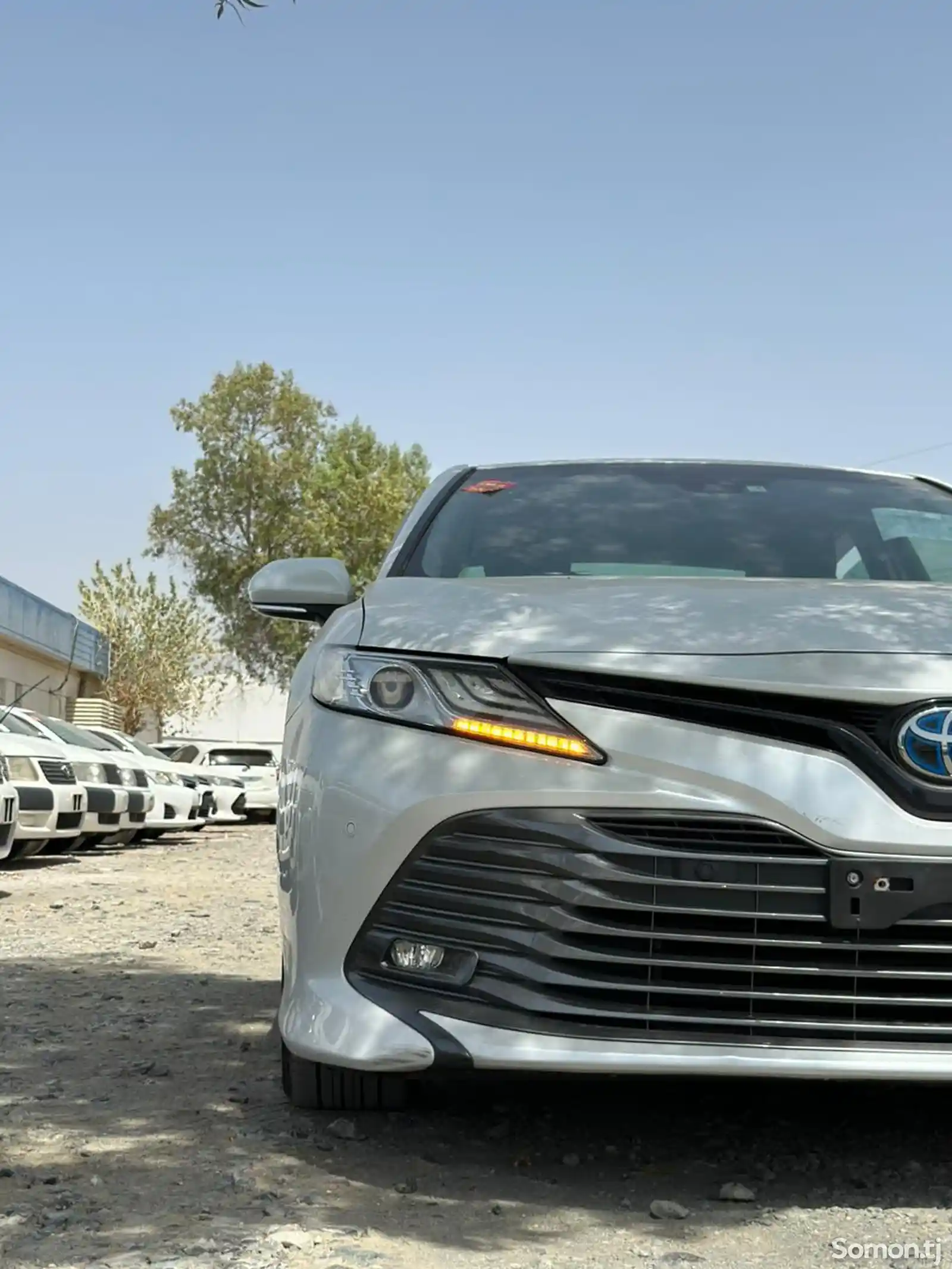 Toyota Camry, 2019-1