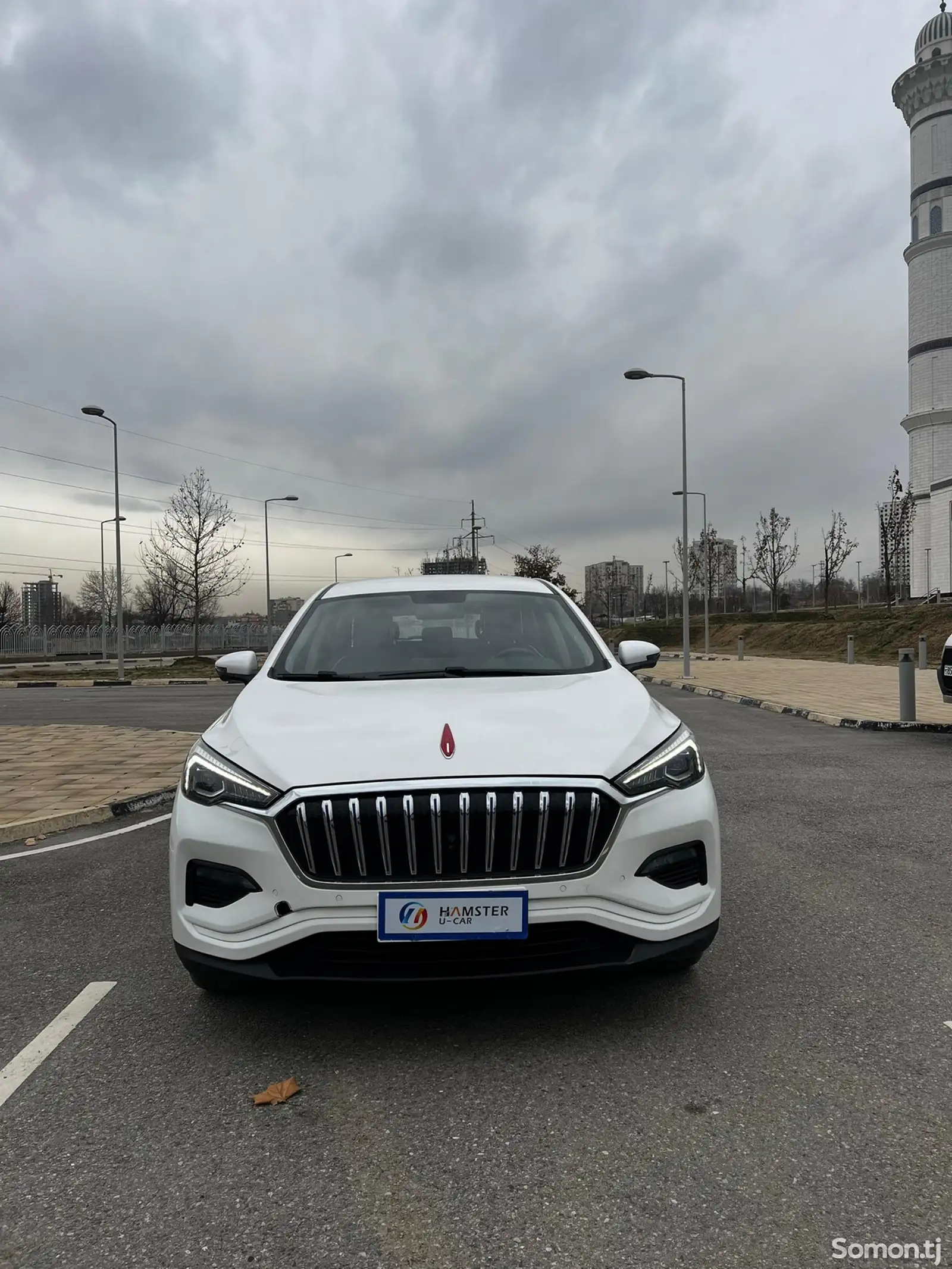 Hongqi E-HS3, 2019-1