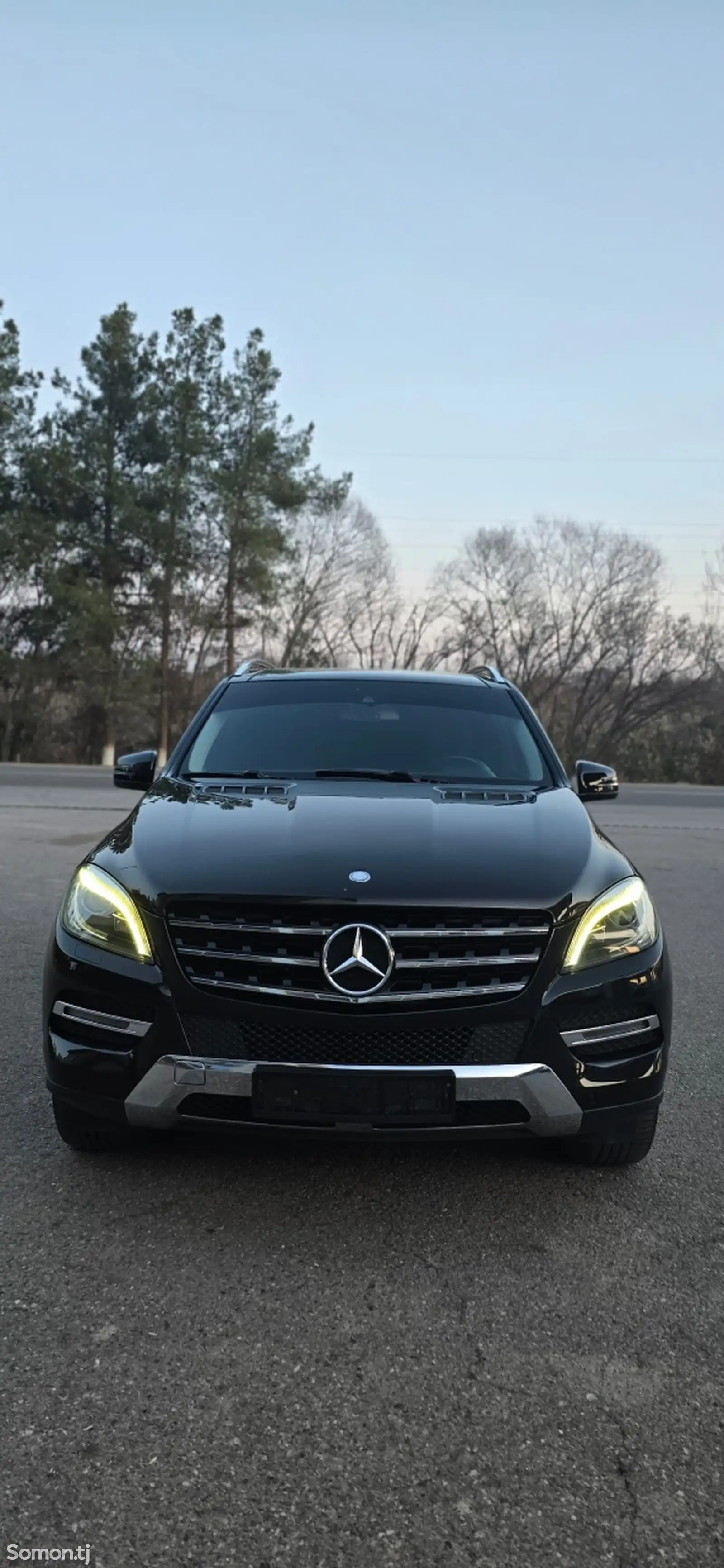 Mercedes-Benz ML class, 2015-1