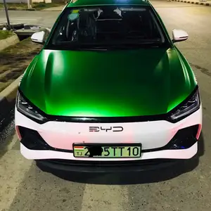 BYD E2, 2024