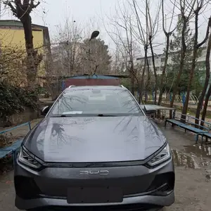 BYD E2, 2025