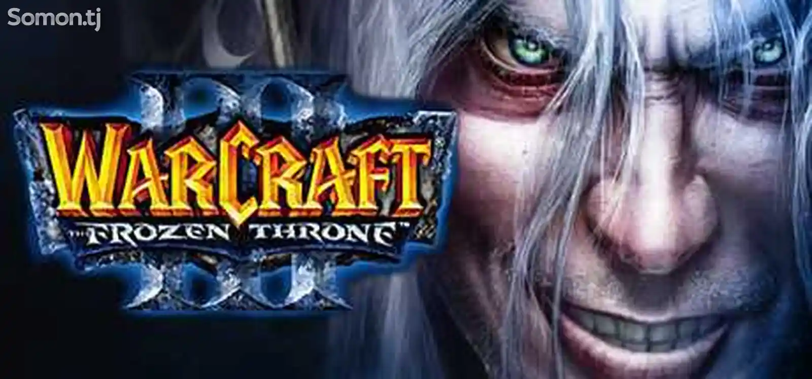 Игра Warcraft 3 frozen для ПК-1