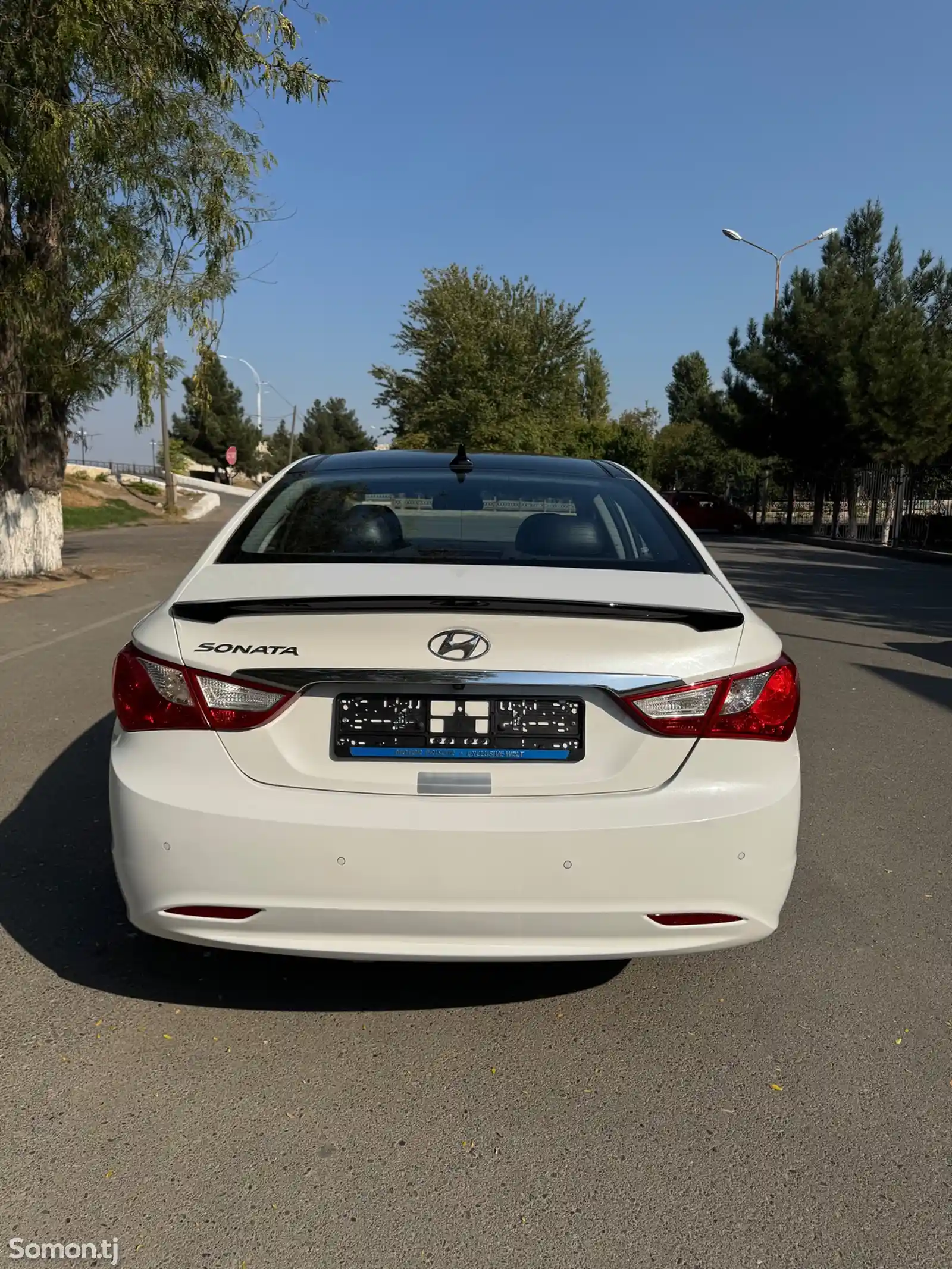 Hyundai Sonata, 2010-4