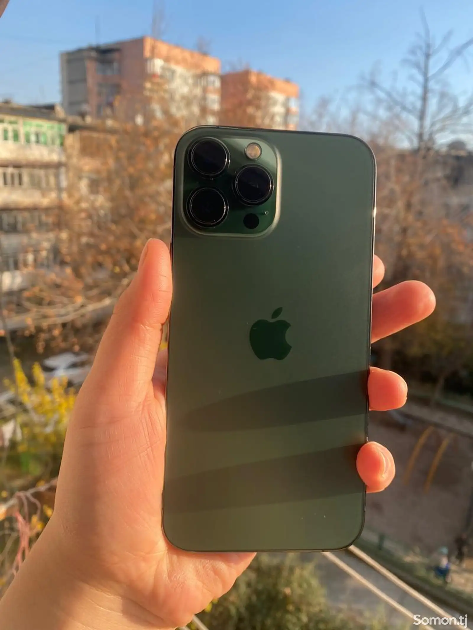 Apple iPhone 13 Pro Max, 256 gb, Alpine Green-1