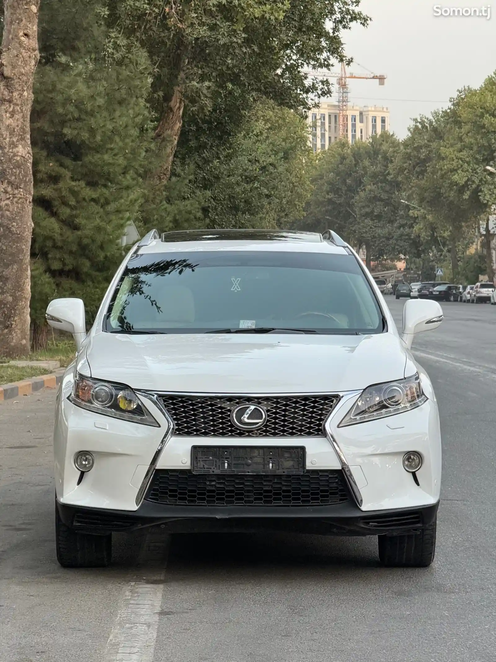 Lexus RX series, 2010-1