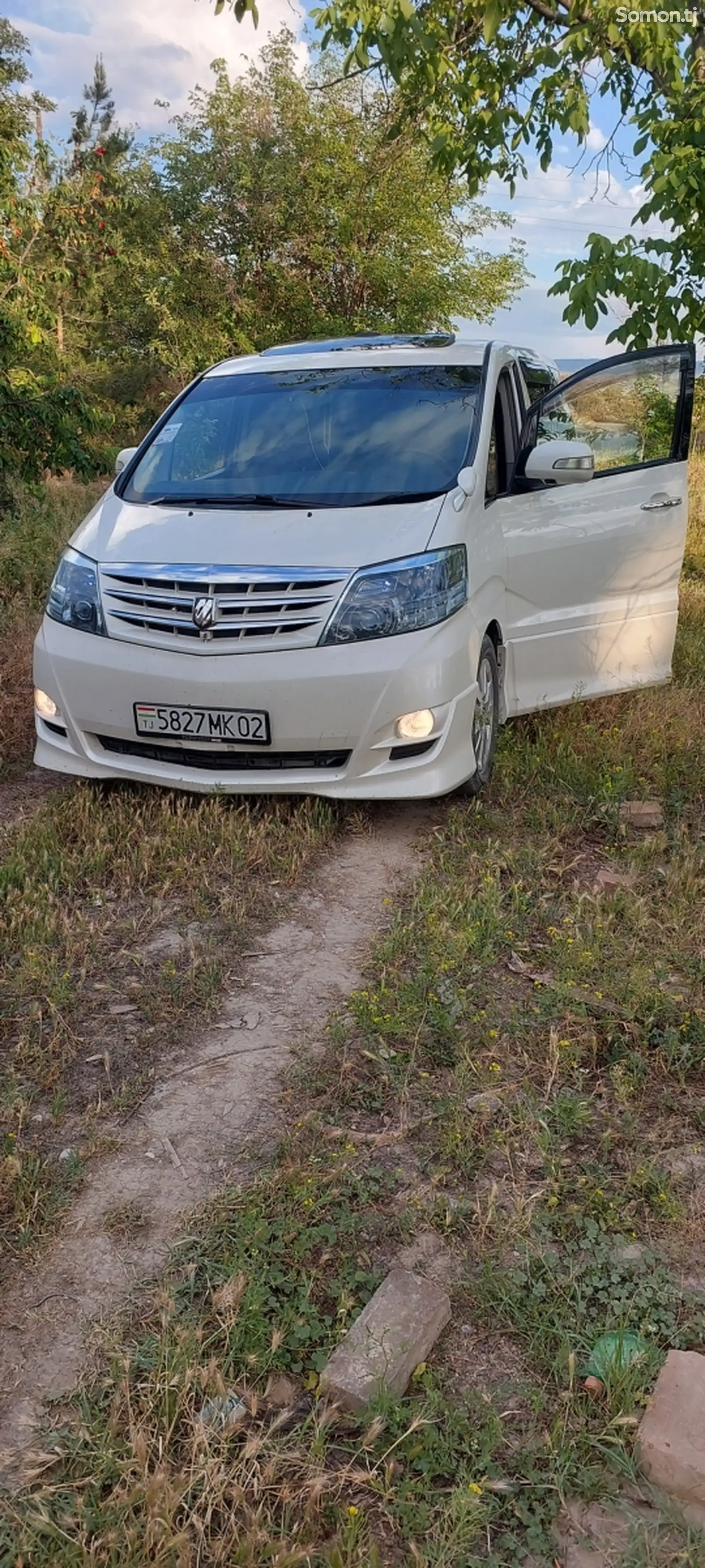 Toyota Alphard, 2007-1