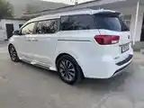 Kia Carnival, 2015-14