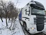 Бортовой грузовик DAF XF, 2010-5