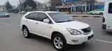 Lexus RX series, 2008-5