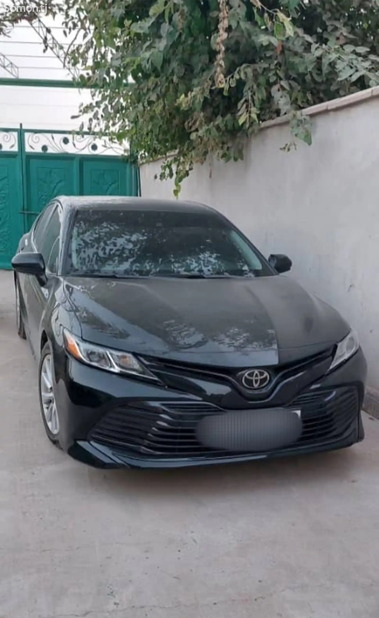 Toyota Camry, 2019-3