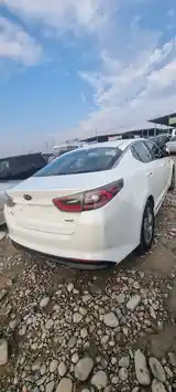 Kia K5, 2015-4