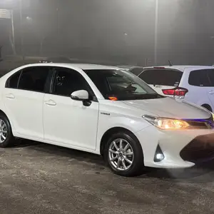 Toyota Axio, 2017