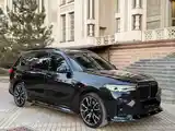 BMW X7, 2020-3