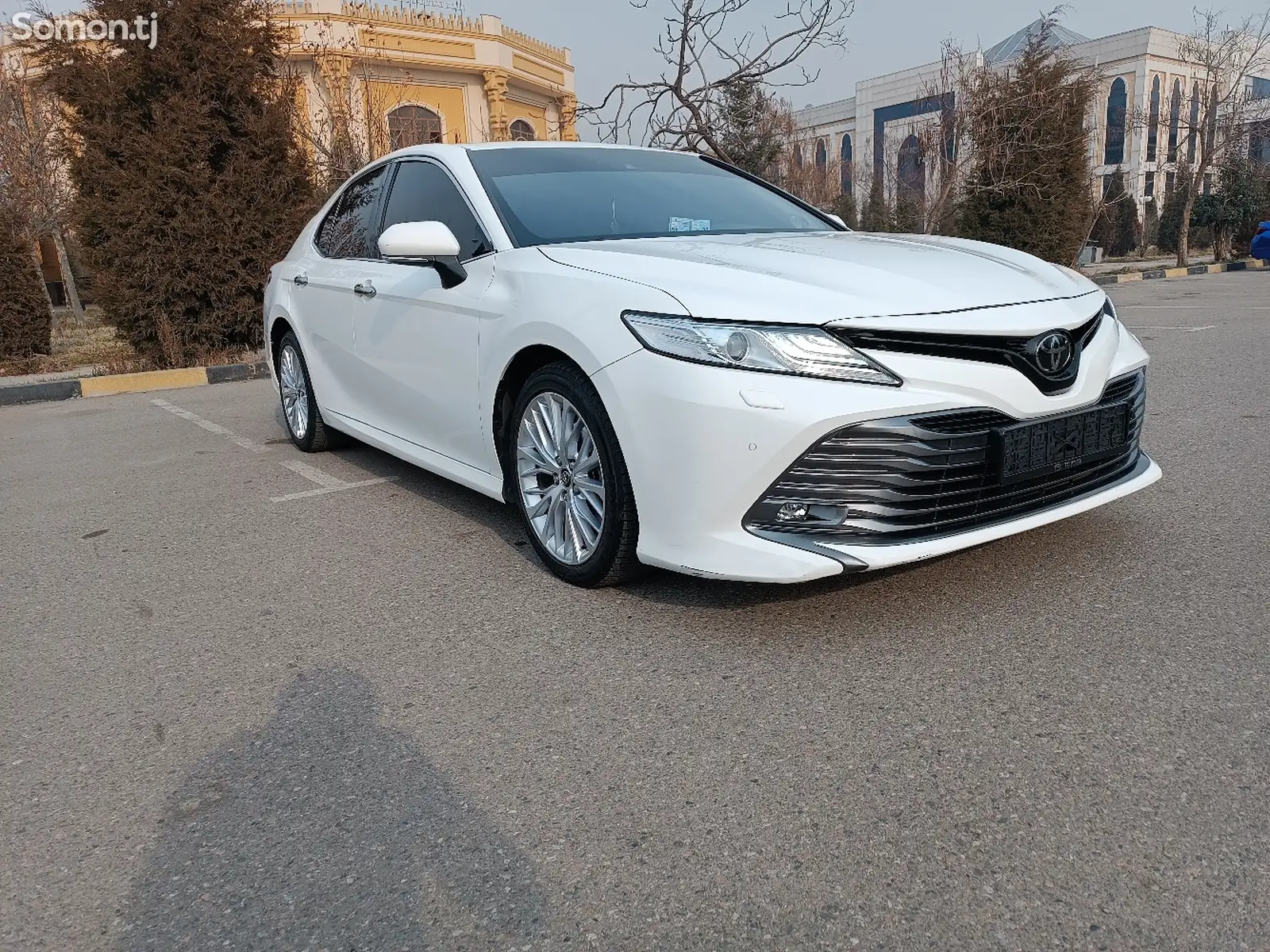 Toyota Camry, 2019-1