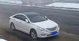 Hyundai Sonata, 2010-5