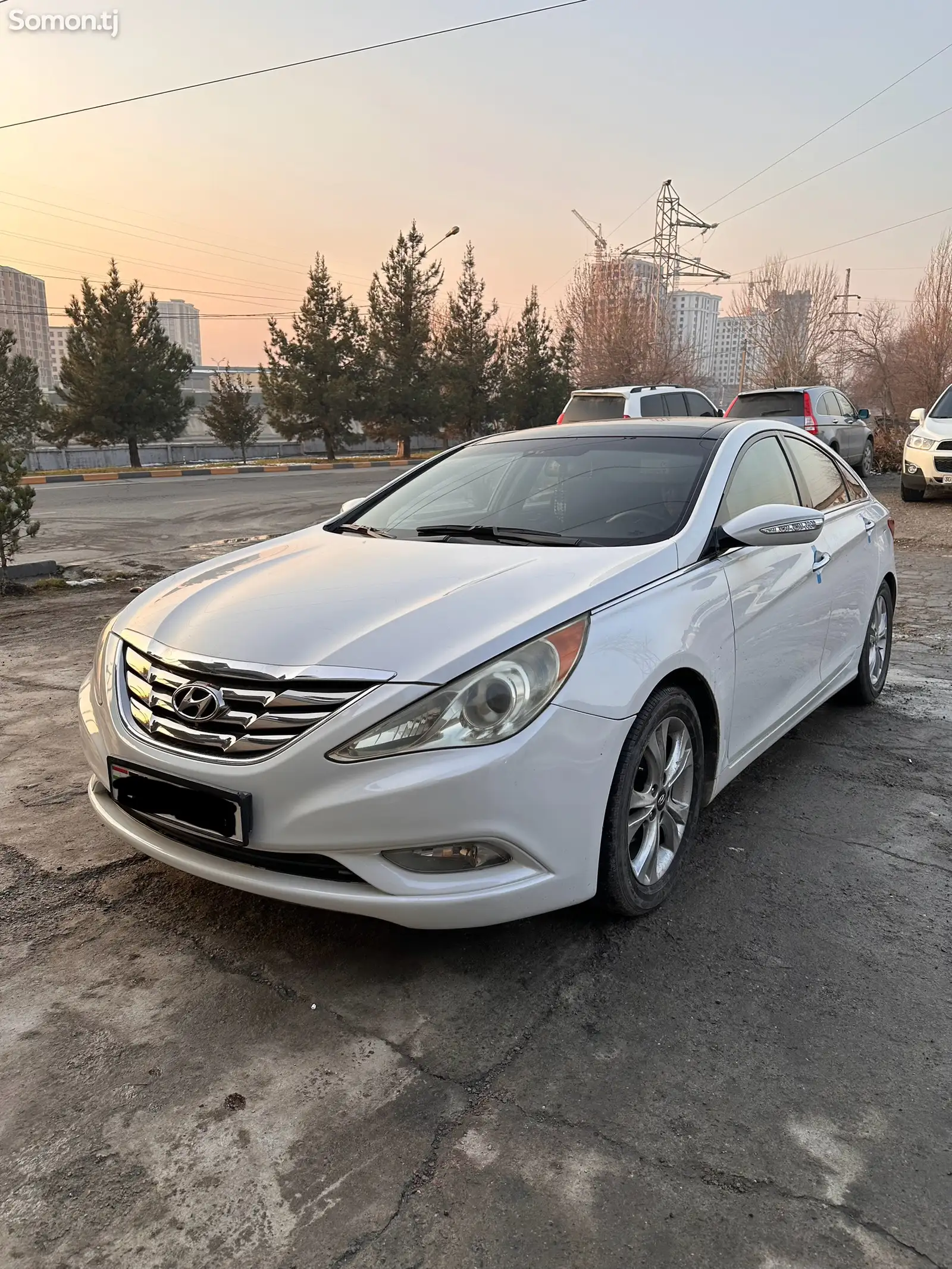 Hyundai Sonata, 2010-1