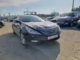 Hyundai Sonata, 2010-3