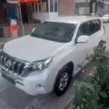 Toyota Land Cruiser Prado, 2011-11