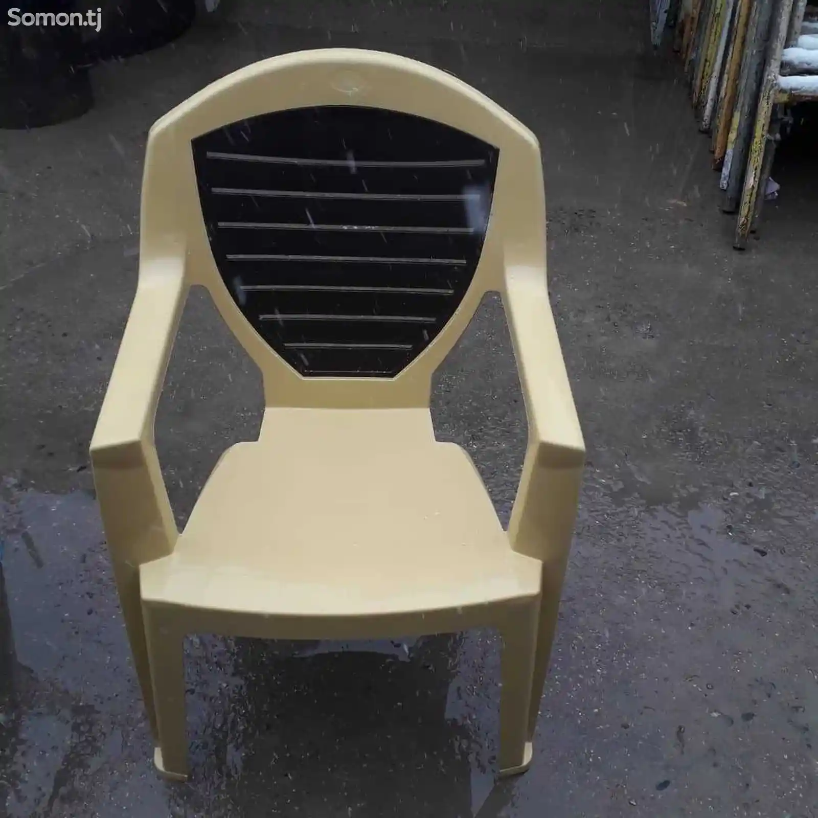 Прокат стульев-1