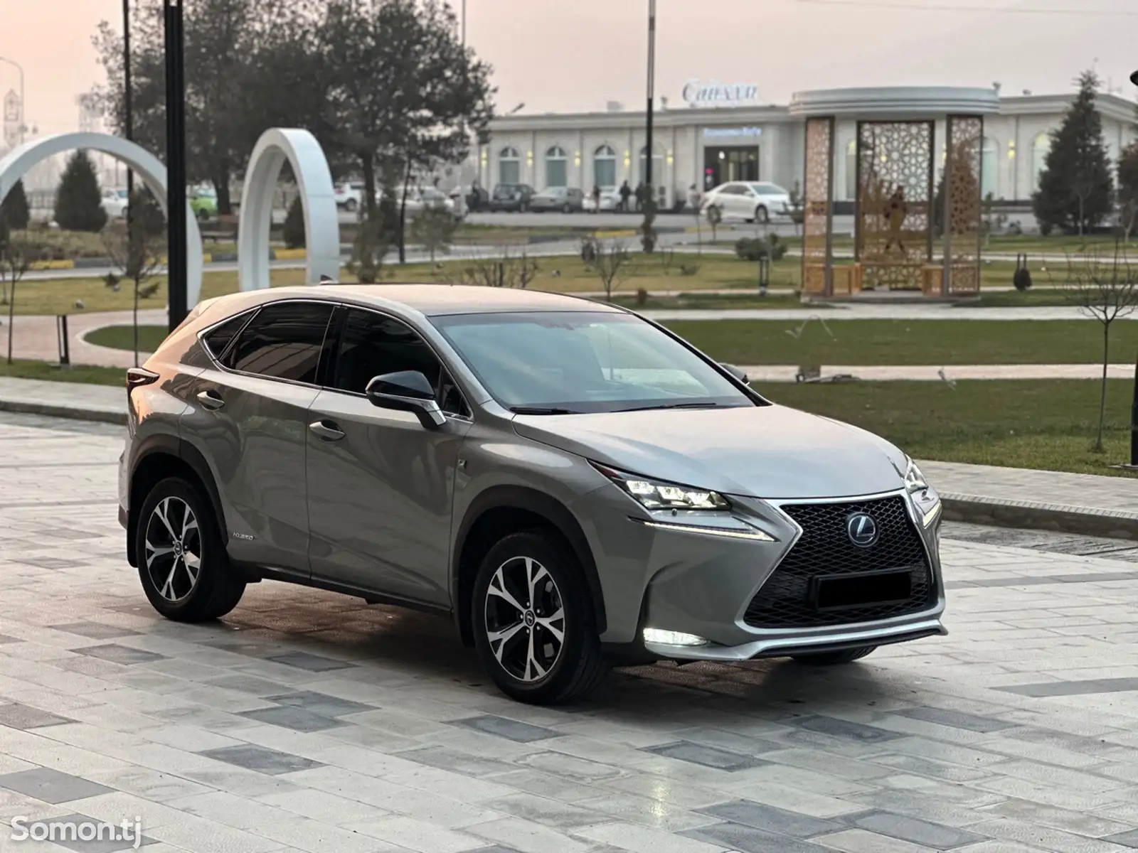 Lexus NX series, 2019-1