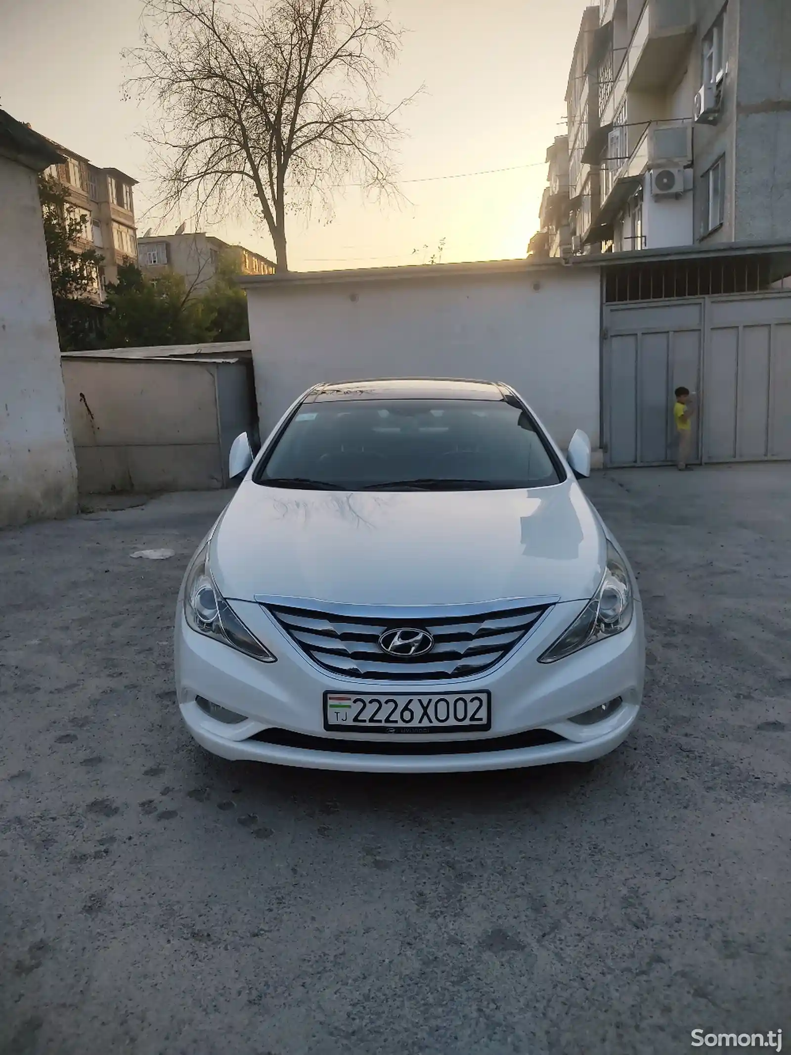 Hyundai Sonata, 2010-1