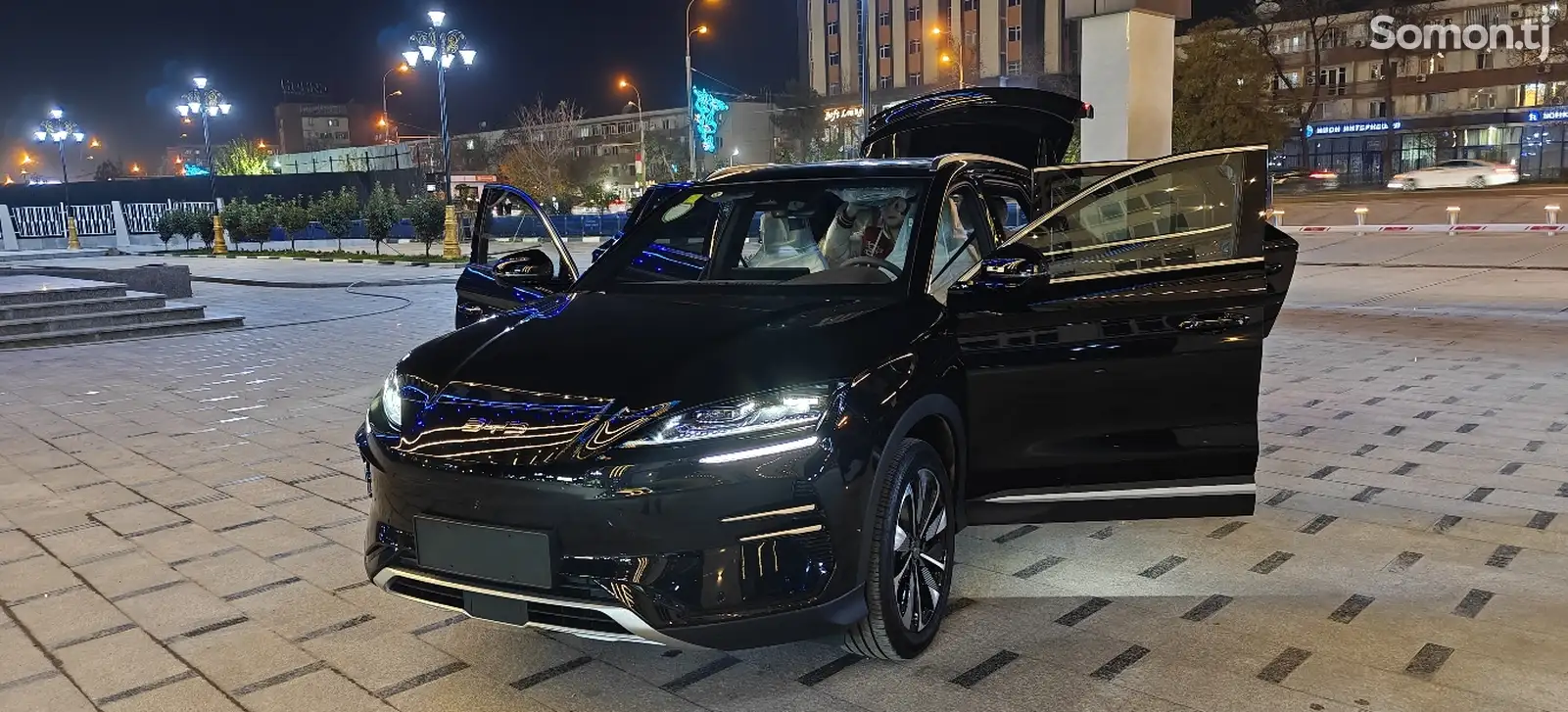 BYD Song Plus Flagship, 2024-1