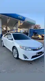 Toyota Camry, 2014-2