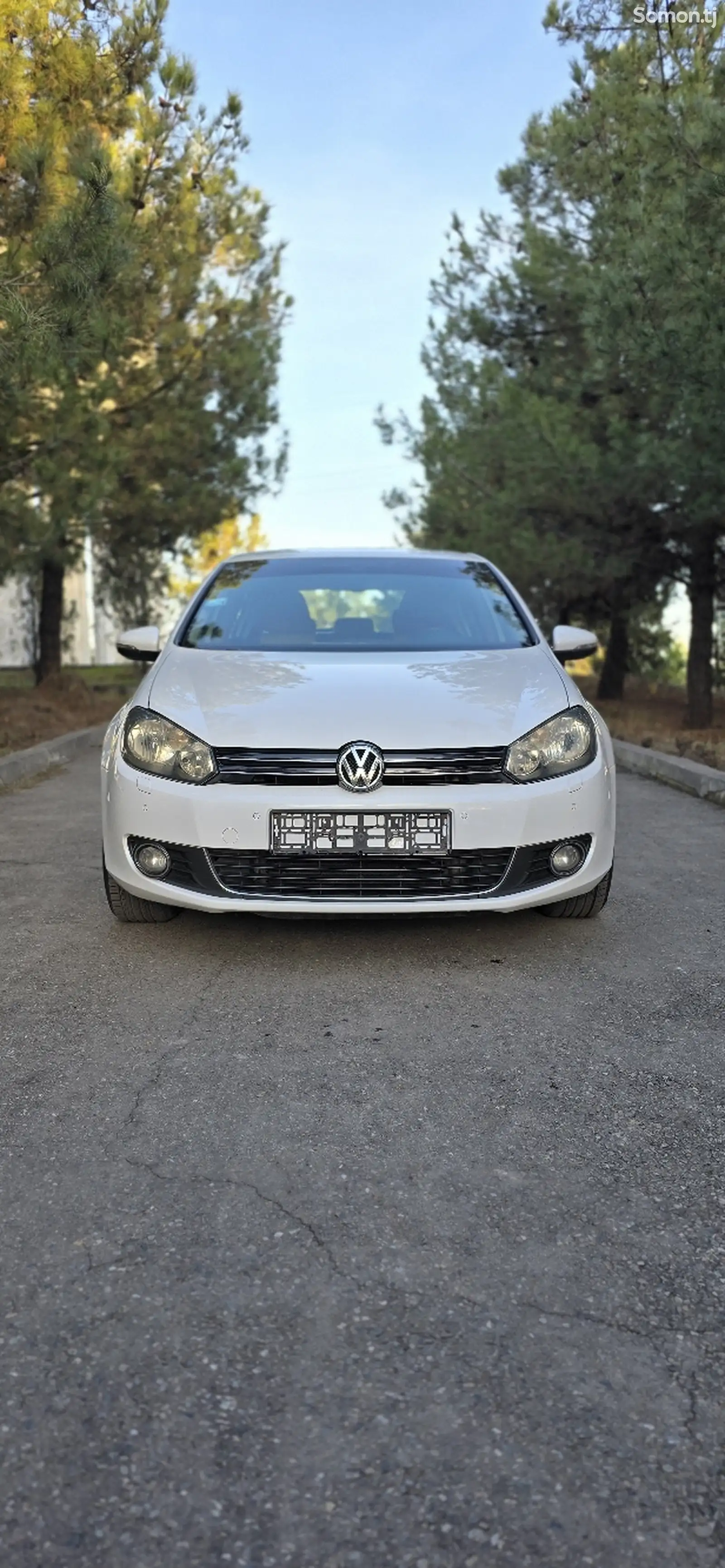 Volkswagen Golf, 2010-1