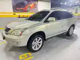 Lexus RX series, 2009-2