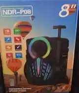 Колонка NDR-P08-2