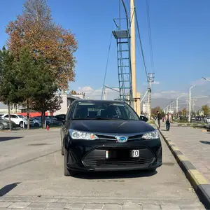 Toyota Fielder, 2019