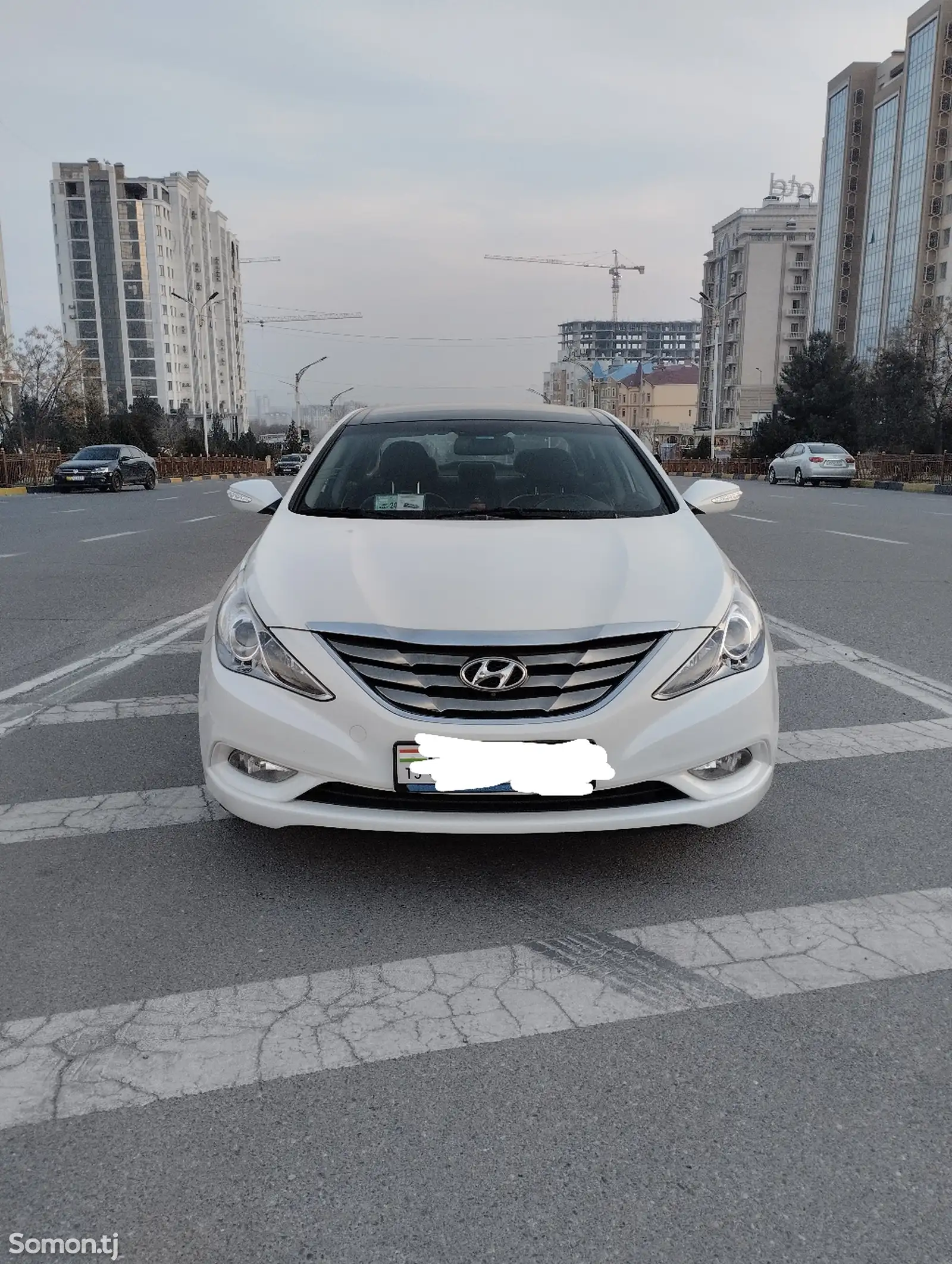 Hyundai Sonata, 2010-1